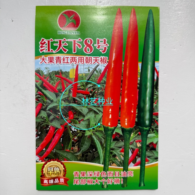 红天下8号辣椒种子大果高产青红两用朝天椒种子大号早熟顺直