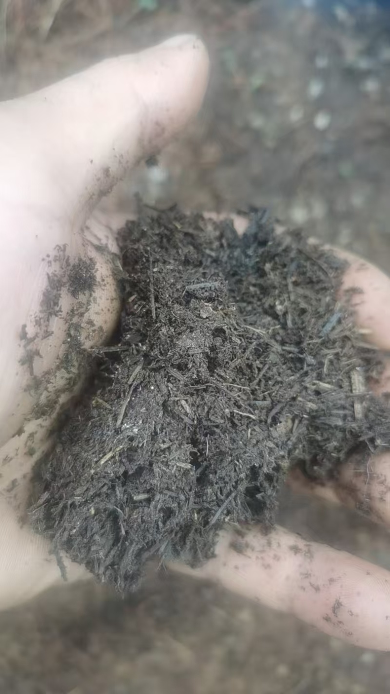 腐殖土大量现货供应，规格齐全，可视频看货代发全国客商