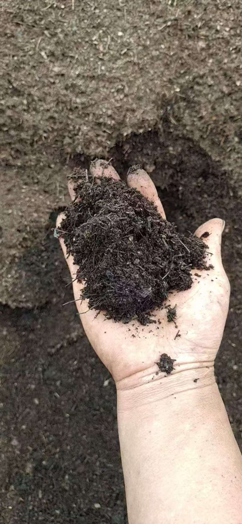 腐殖土大量现货供应，规格齐全，可视频看货代发全国客商