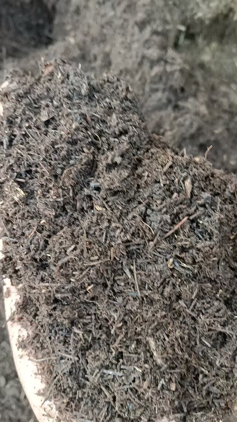腐殖土大量现货供应，规格齐全，可视频看货代发全国客商
