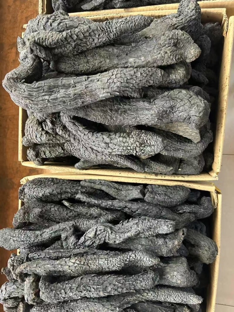 肉苁蓉内蒙古沙漠肉苁蓉产地直供货
