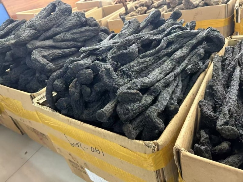 肉苁蓉内蒙古沙漠肉苁蓉产地直供货