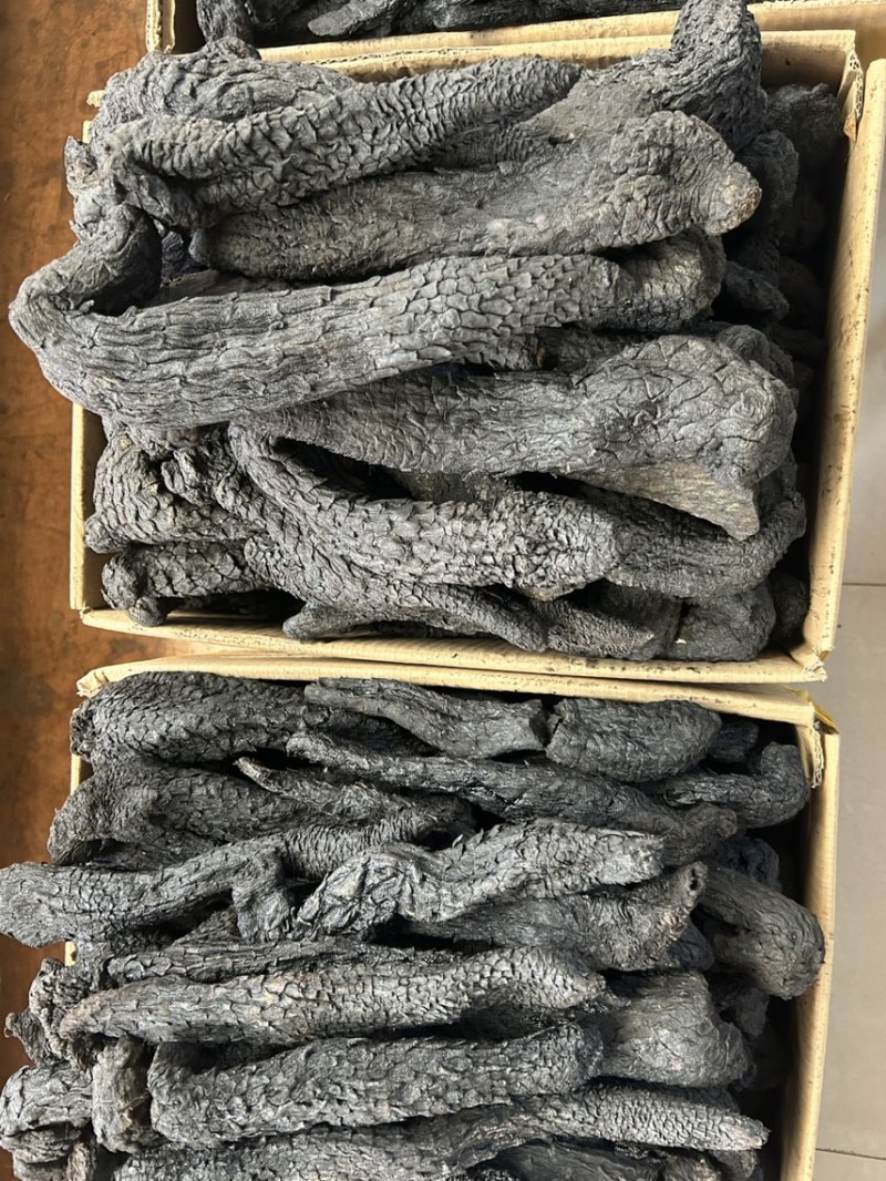 肉苁蓉内蒙古沙漠肉苁蓉产地直供货