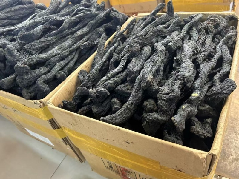 肉苁蓉内蒙古沙漠肉苁蓉产地直供货