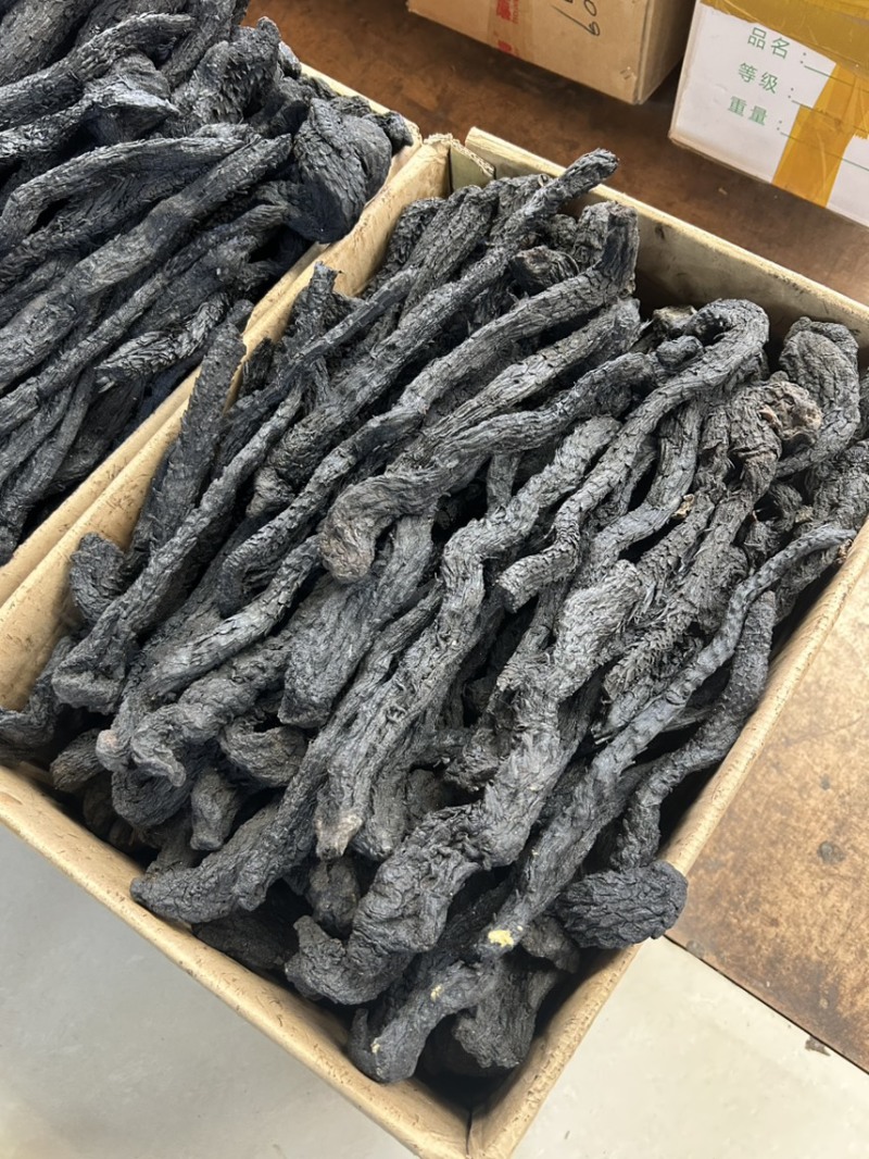 肉苁蓉内蒙古沙漠肉苁蓉产地直供货