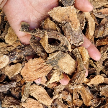 簕藕簕茨菇手砍片
