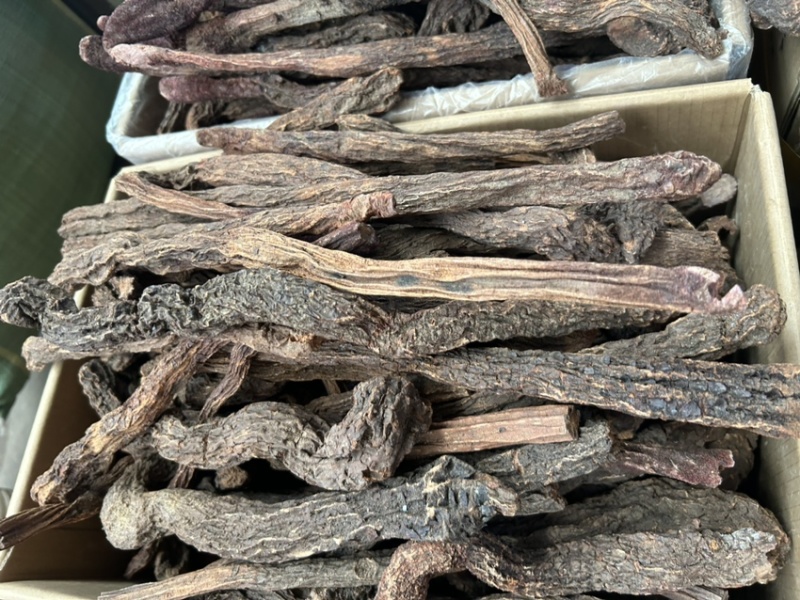 锁阳沙漠锁阳大货供应
