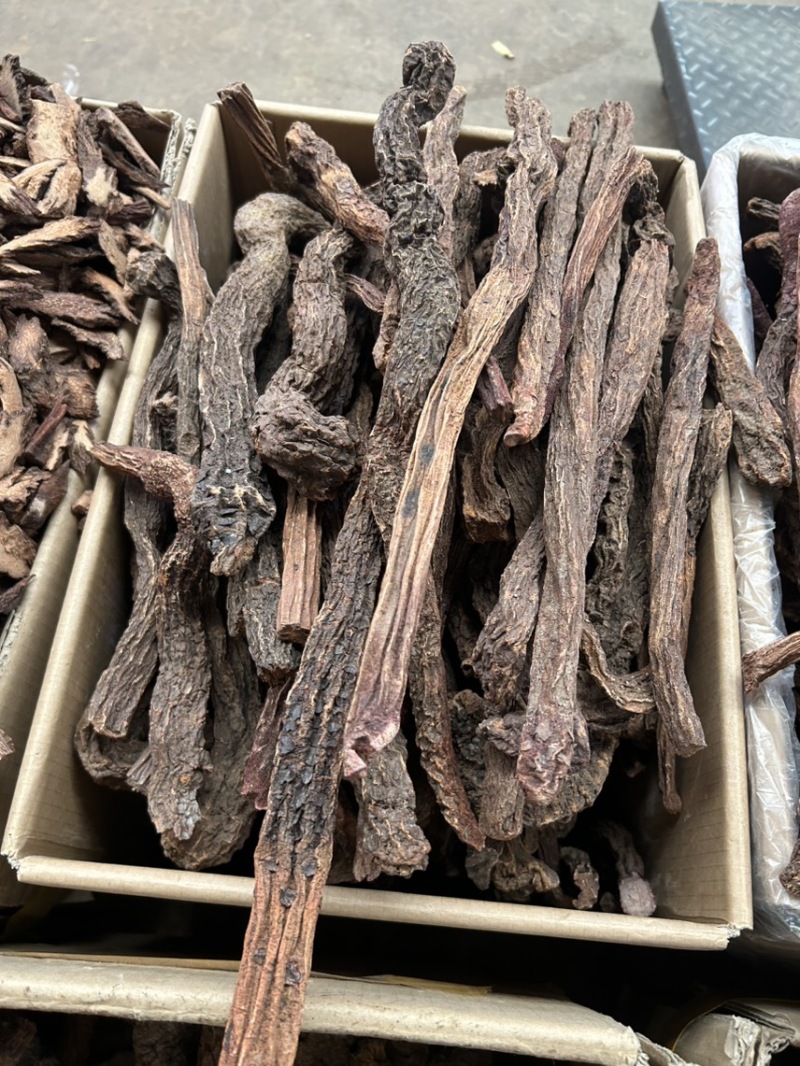 锁阳沙漠锁阳大货供应