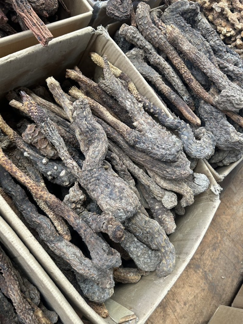 肉苁蓉肉苁蓉肉苁蓉供应