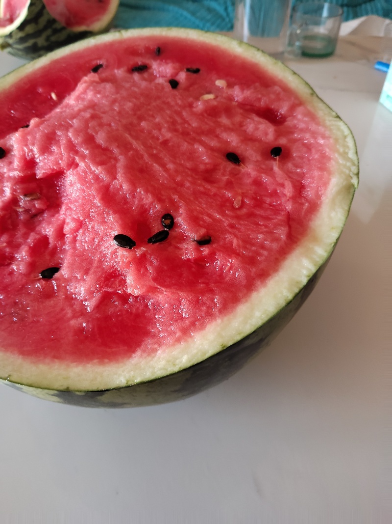 锦王，美都西瓜