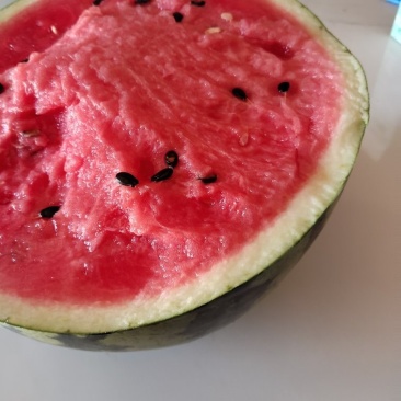 锦王，美都西瓜