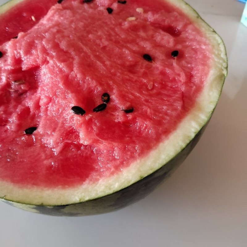 锦王，美都西瓜