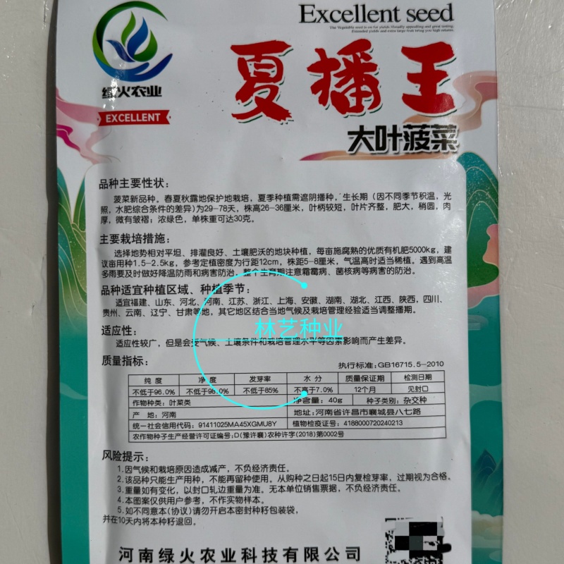 夏播王大叶菠菜种子耐热越夏抗高温春秋抗病菠菜阳台蔬菜