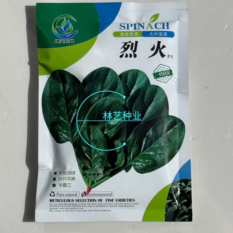 烈火菠菜种子夏季耐热大叶菠菜种籽叶片肥厚深绿抗病耐抽苔