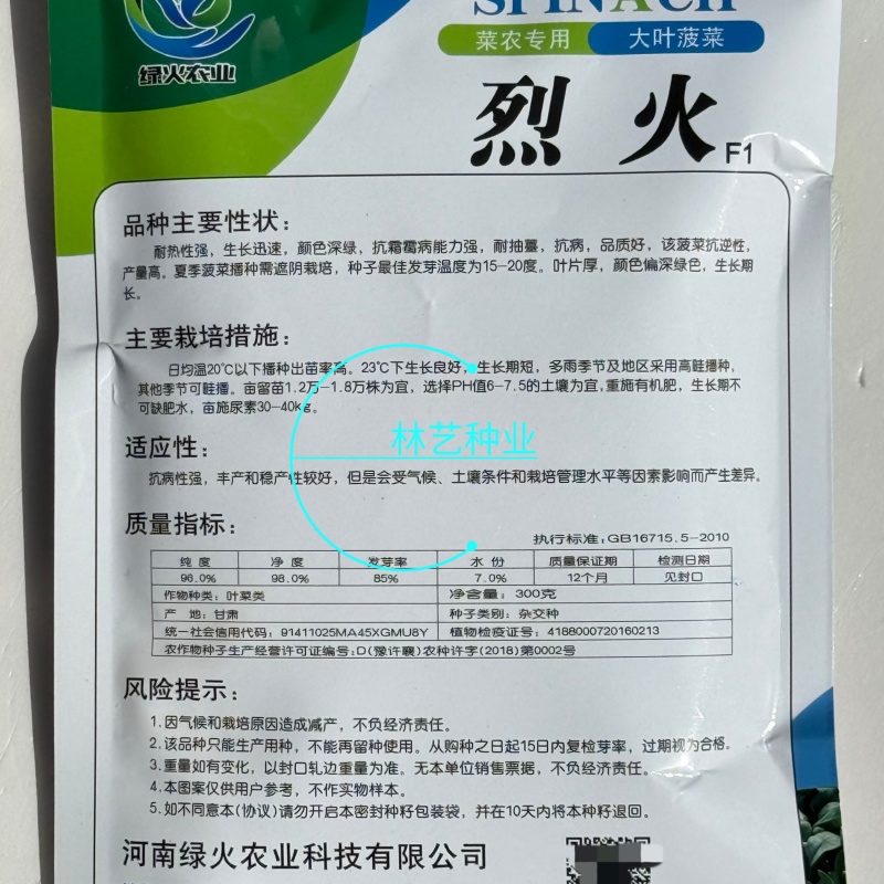 烈火菠菜种子夏季耐热大叶菠菜种籽叶片肥厚深绿抗病耐抽苔