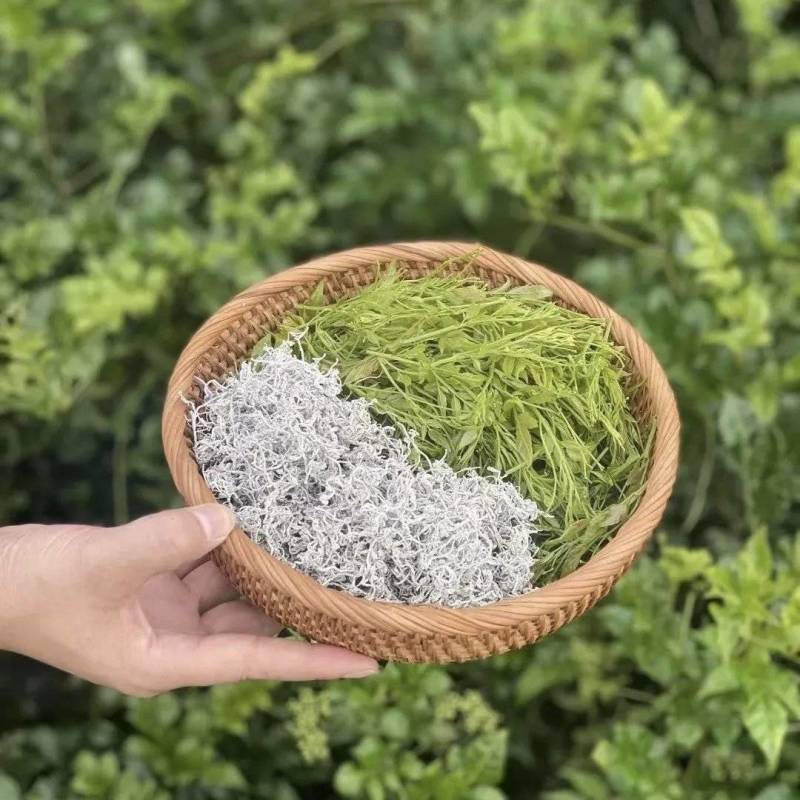 张家界莓茶批发