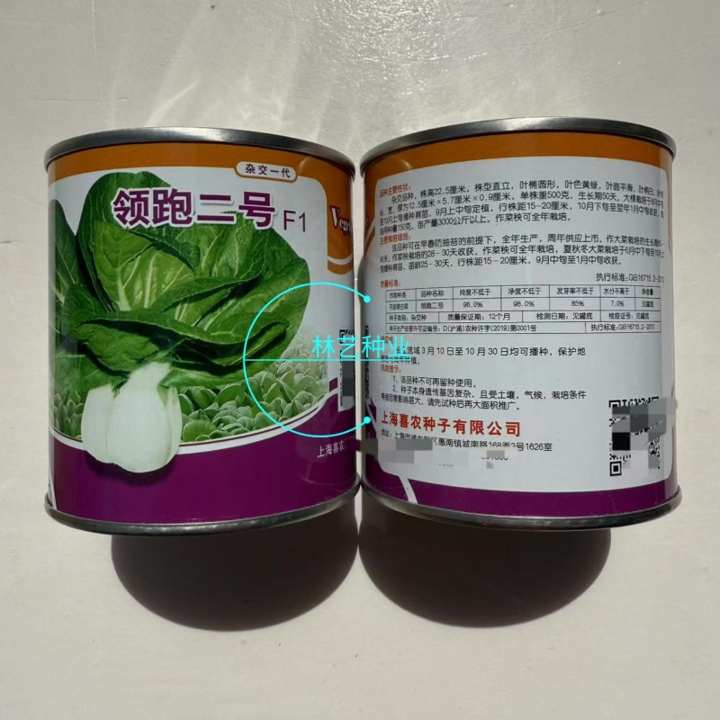 领跑二号小白菜种子不结球白菜种子白梗青菜春夏秋小颗型白菜