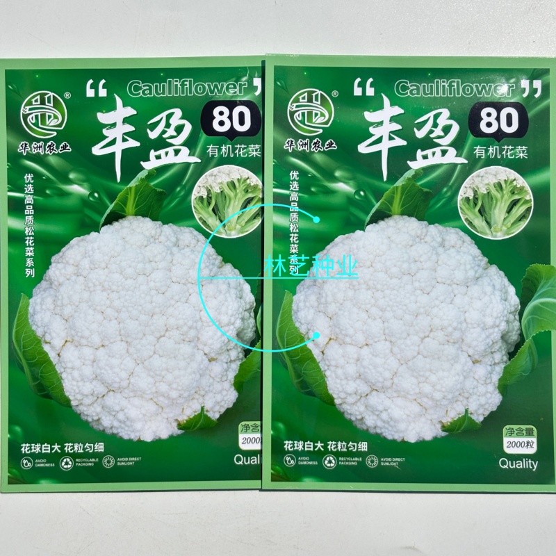 丰盈80有机花菜种子花球白大花粒均匀花菜种籽耐热耐寒