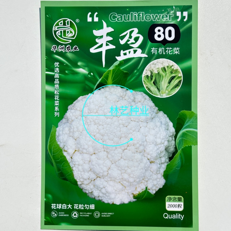 丰盈80有机花菜种子花球白大花粒均匀花菜种籽耐热耐寒