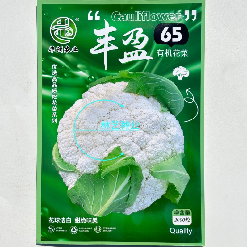 丰盈65花菜种子早熟杂交一代青梗松花菜种籽耐热耐湿
