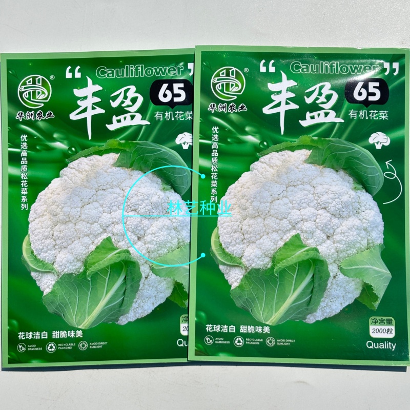 丰盈65花菜种子早熟杂交一代青梗松花菜种籽耐热耐湿