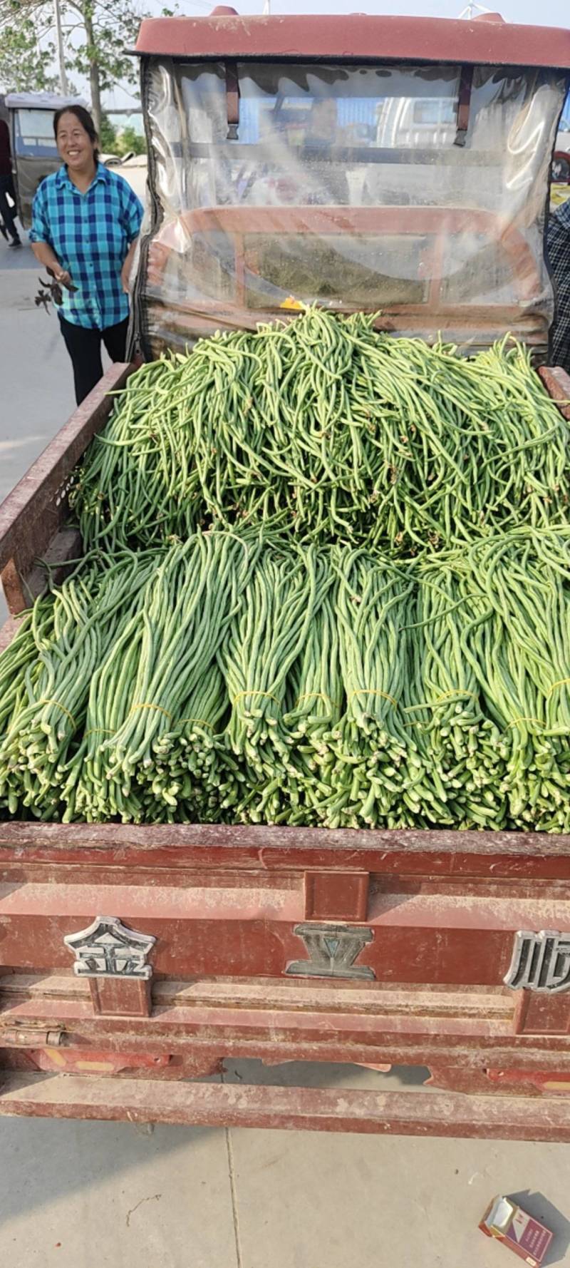 豆角大量上市。需要的老板电话联系。产地直发。代收代发。