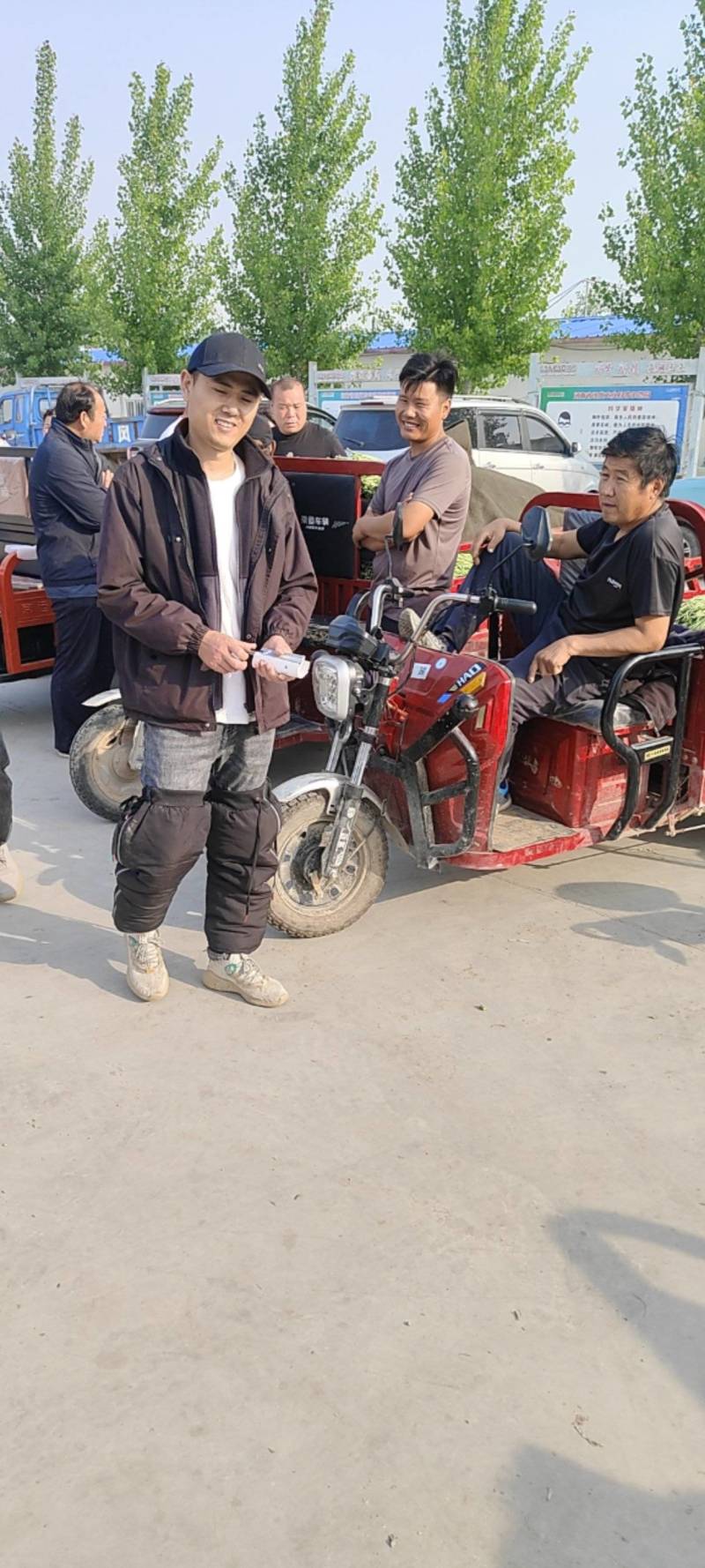 豆角大量上市。需要的老板电话联系。产地直发。代收代发。