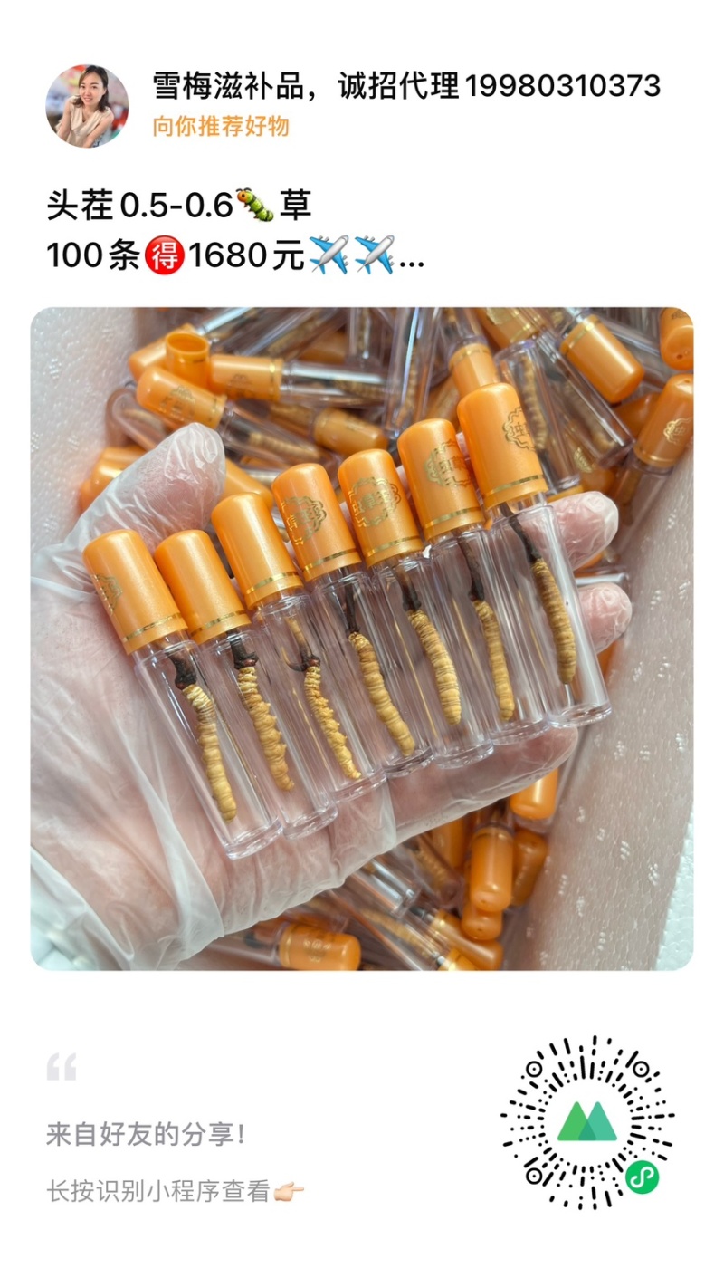鲜虫草，产地直达，品质保证