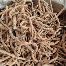 三白草