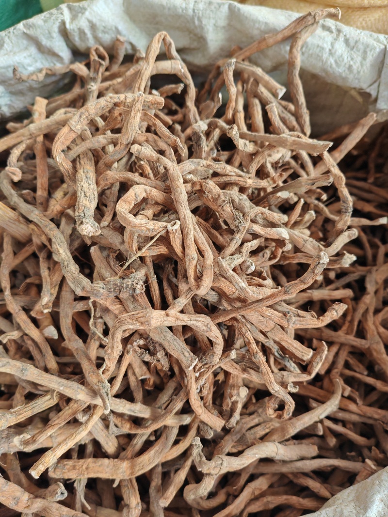 三白草