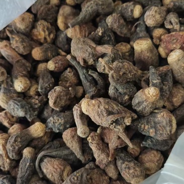 玛卡大量供应品质上乘支持视频看货欢迎下单品质保证