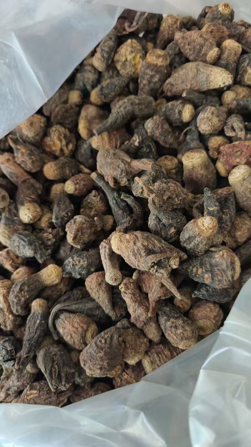 玛卡大量供应品质上乘支持视频看货欢迎下单品质保证