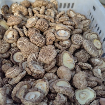 香菇干香菇质优价廉,产地直发,没有后顾之险,欢迎洽谈,代够代