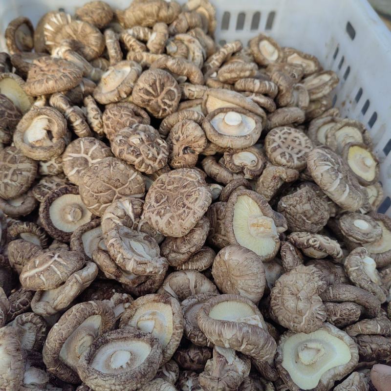 香菇干香菇质优价廉，产地直发，没有后顾之险，欢迎洽谈，代够代