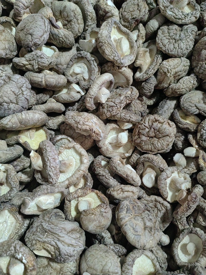 香菇干香菇质优价廉，产地直发，没有后顾之险，欢迎洽谈，代够代