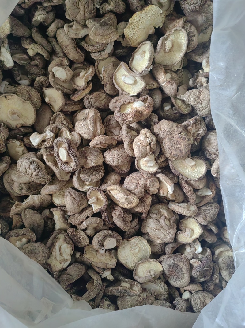香菇干香菇质优价廉，产地直发，没有后顾之险，欢迎洽谈，代够代