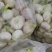 山东郯城，大蒜头，一手货源，货源充足，欢迎前来洽谈合作