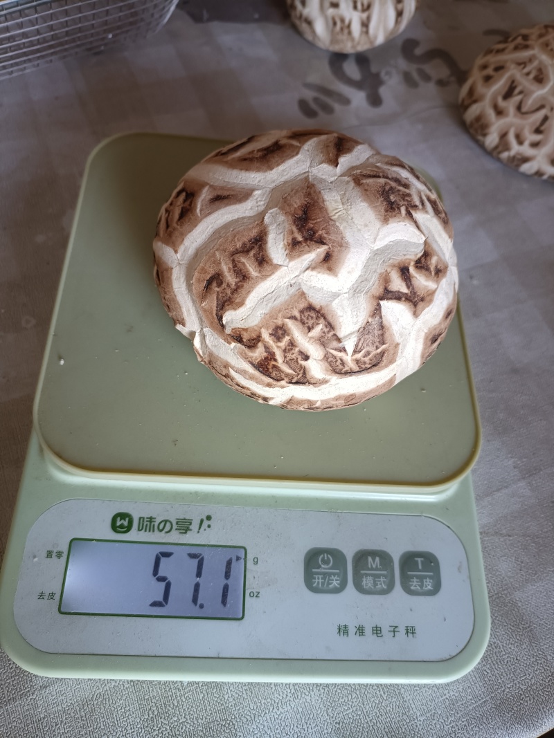 随州花菇5厘米以上产地基地直发餐饮商用家用食材展品礼品