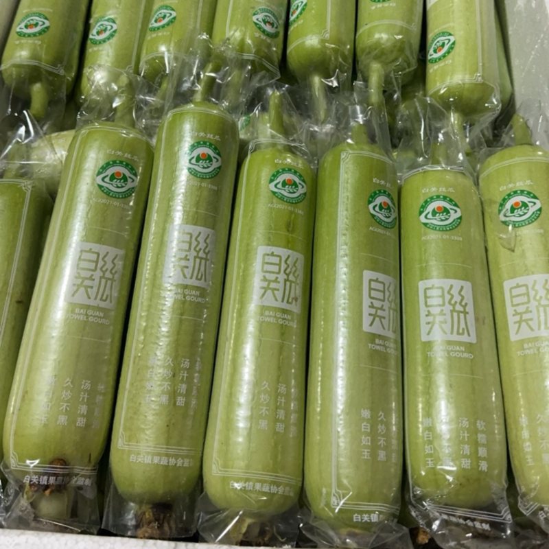 湖南株洲白关丝瓜全国地理标志农产品