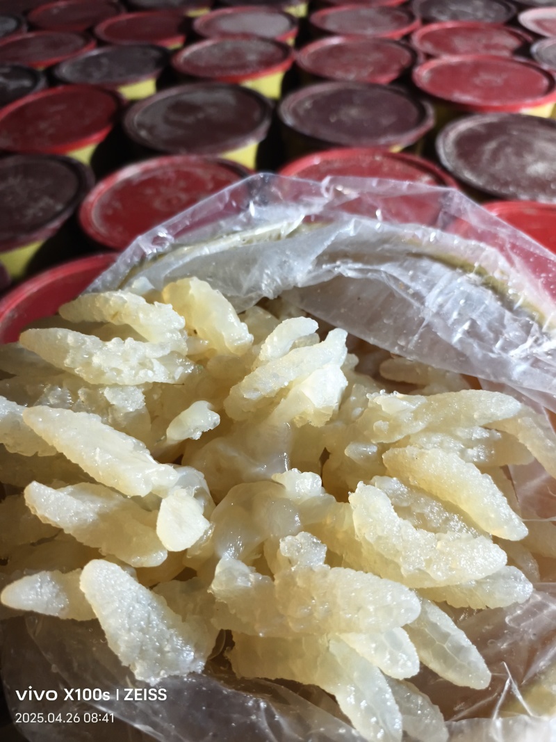 八爪蛰头，货量充足，品质优良，规格齐全，欢迎咨询选购