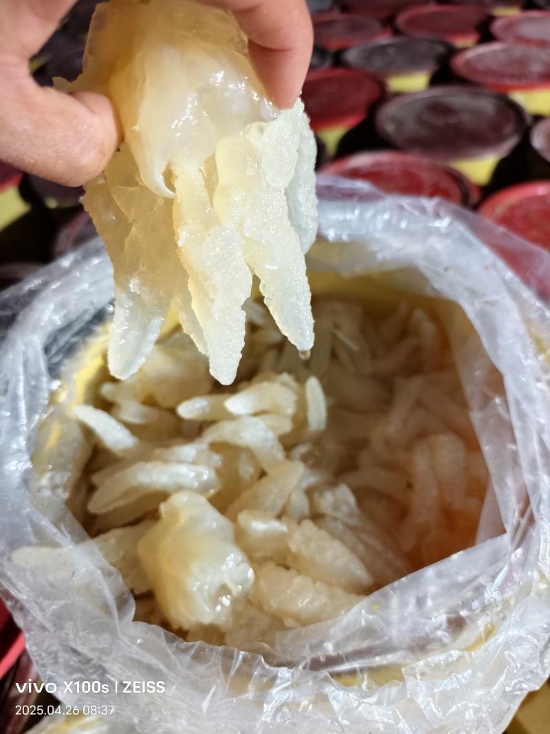 八爪蛰头，货量充足，品质优良，规格齐全，欢迎咨询选购