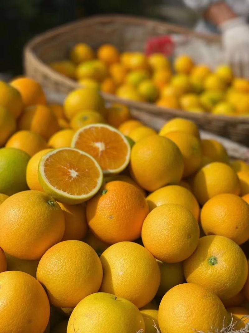 【秭归夏橙】口感酸甜皮薄多汁果园现摘质量有保证诚信代办