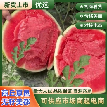 商丘夏邑头茬无籽美都不嫁接九成熟口感酥脆皮薄对接商超