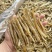沙虫干特大干沙虫干货煲汤煮粥材料源头特产足干海鲜干货无沙