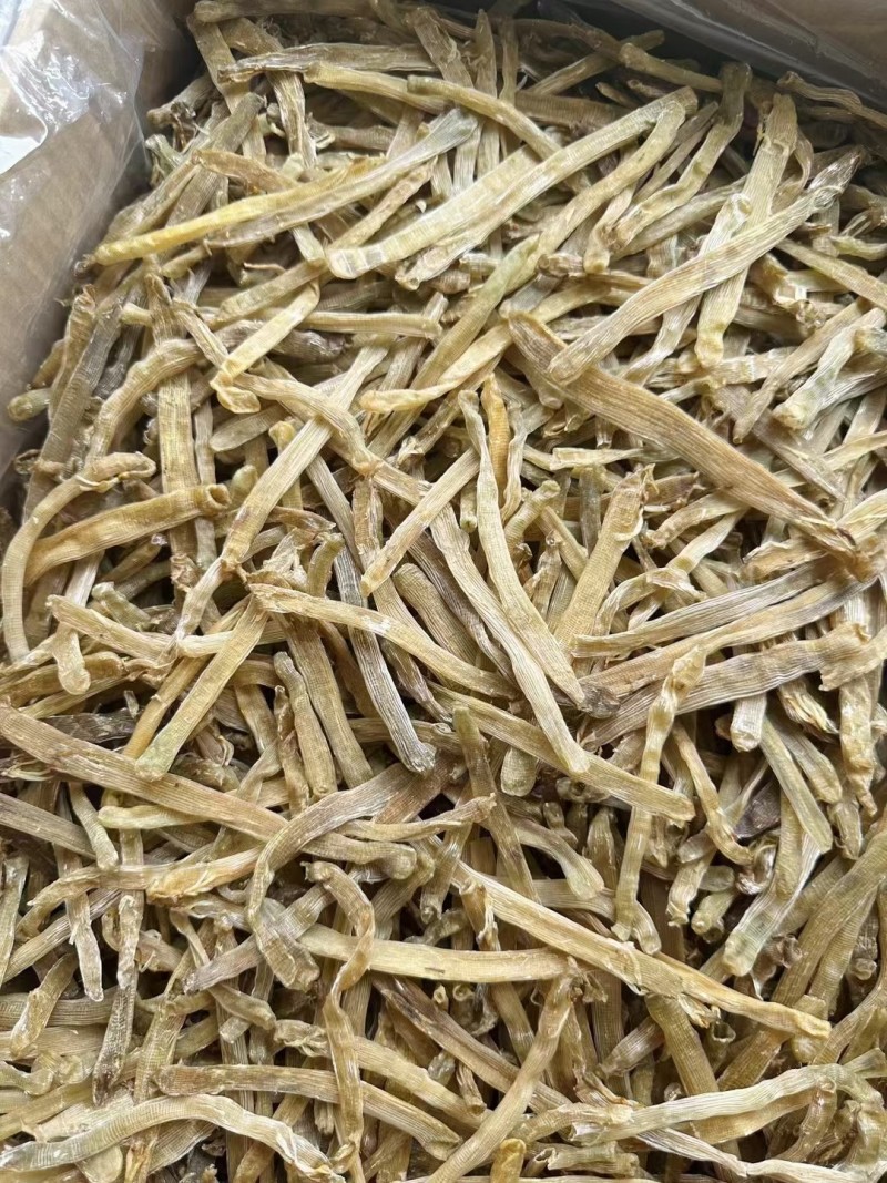 沙虫干特大干沙虫干货煲汤煮粥材料源头特产足干海鲜干货无沙
