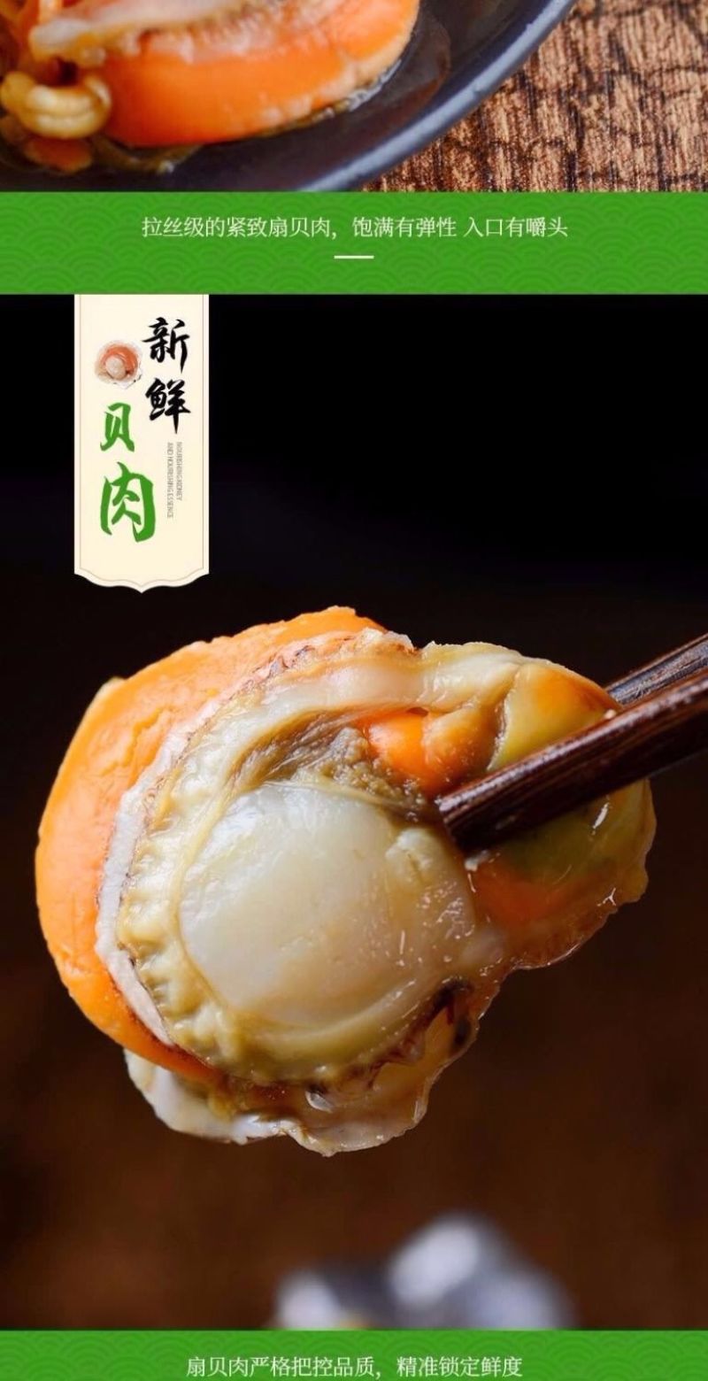 【包邮】特大号扇贝肉新鲜冷冻海捕扇贝实标重量【固形物8
