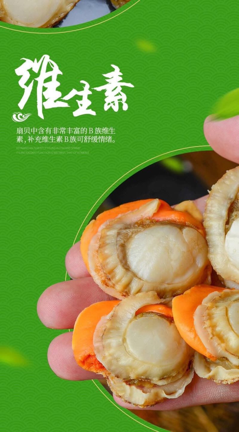 【包邮】特大号扇贝肉新鲜冷冻海捕扇贝实标重量【固形物8