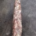 1000/2000秘鲁鱿鱼长须，原汁原味，不泡水不泡药水