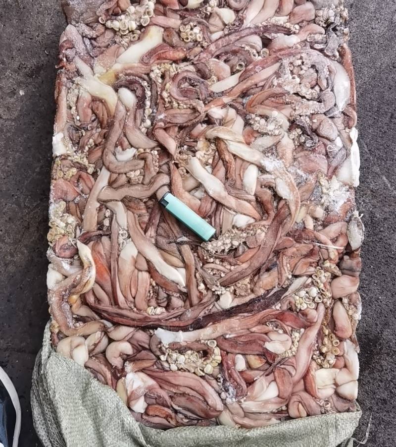 1000/2000秘鲁鱿鱼长须，原汁原味，不泡水不泡药水