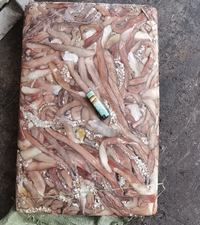 1000/2000秘鲁鱿鱼长须，原汁原味，不泡水不泡药水